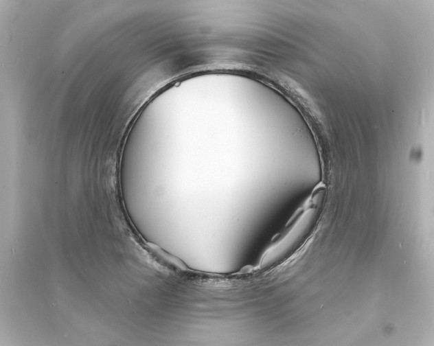 X0000093601177200711121142