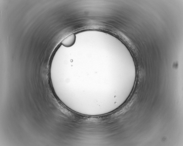 X0000093601178200711121142