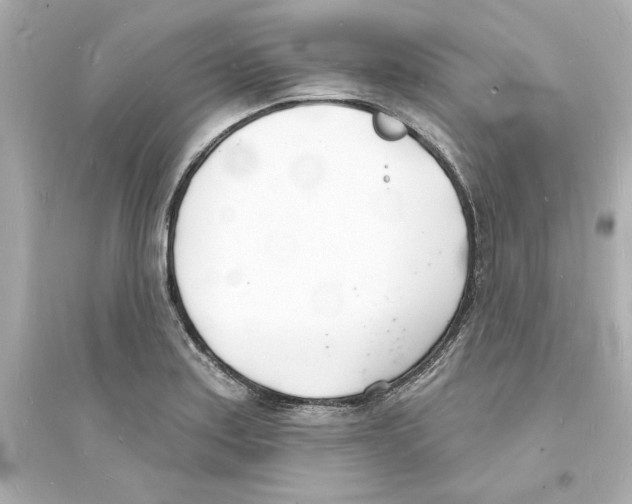 X0000093601179200711121142