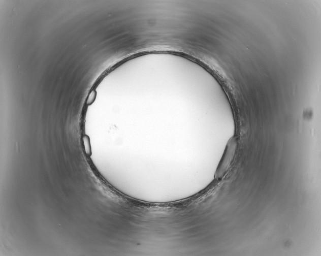 X0000093601181200711121142