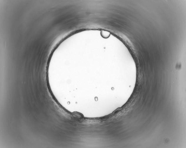 X0000093601183200711121142