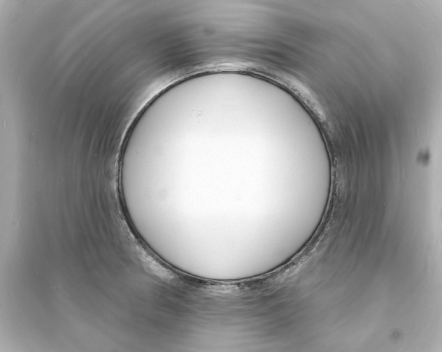 X0000093601186200711121142