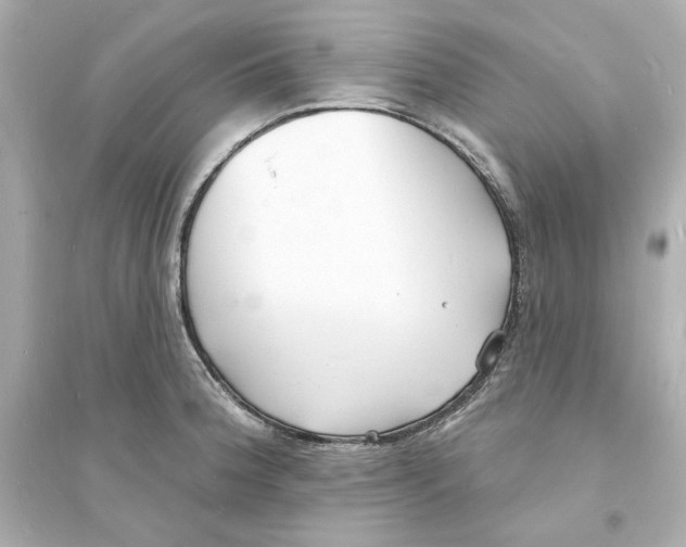 X0000093601188200711121142