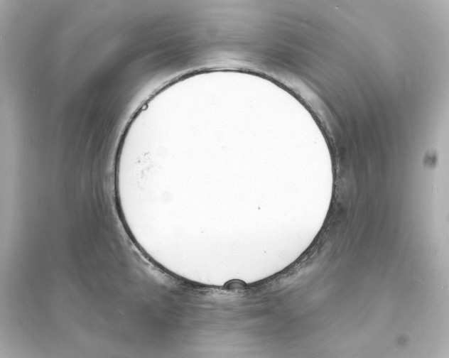 X0000093601191200711121141