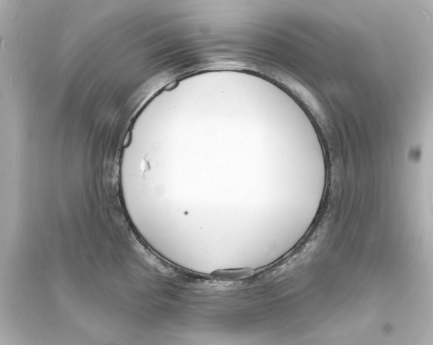 X0000093601193200711121141