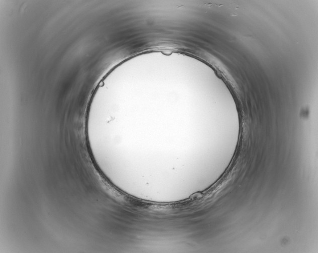 X0000093601194200711121141