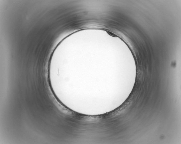 X0000093601195200711121141