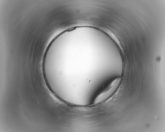 X0000093601197200711121141