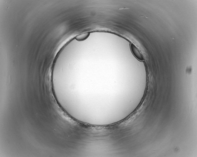 X0000093601198200711121141