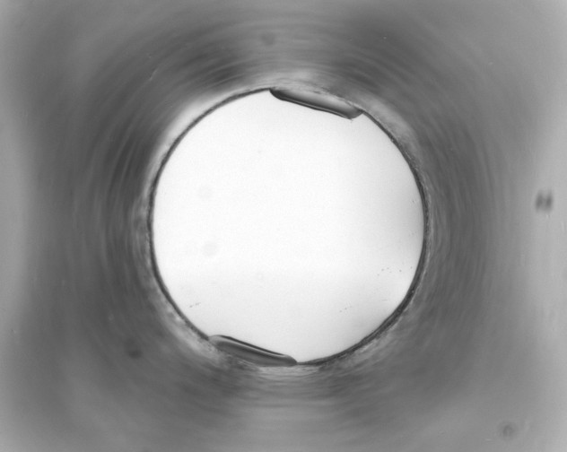 X0000093601200200711121141