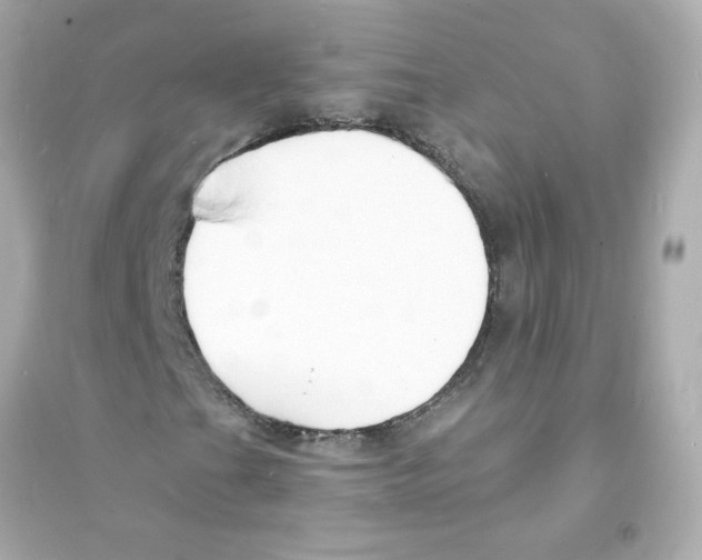 X0000093601201200711121141