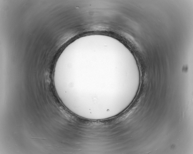 X0000093601209200711121141