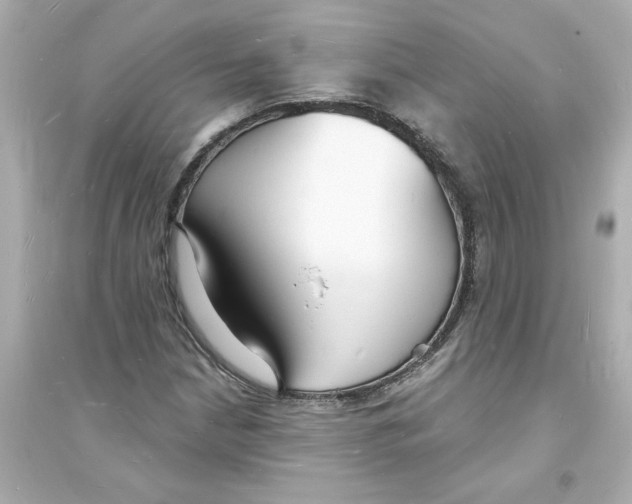 X0000093601210200711121141