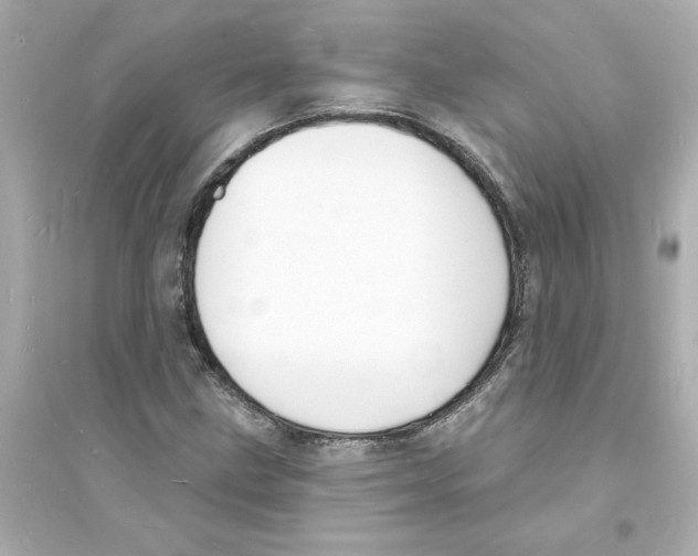 X0000093601211200711121141