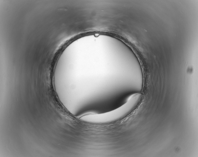 X0000093601214200711121141