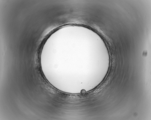 X0000093601215200711121141