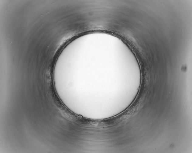 X0000093601218200711121141