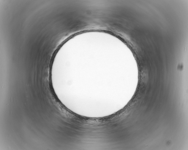 X0000093601220200711121141