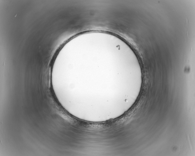 X0000093601223200711121141