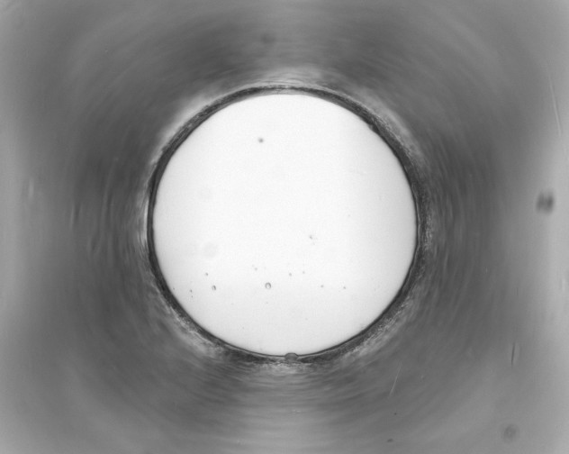 X0000093601224200711121141