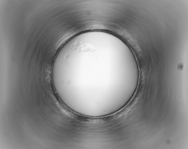 X0000093601225200711121141