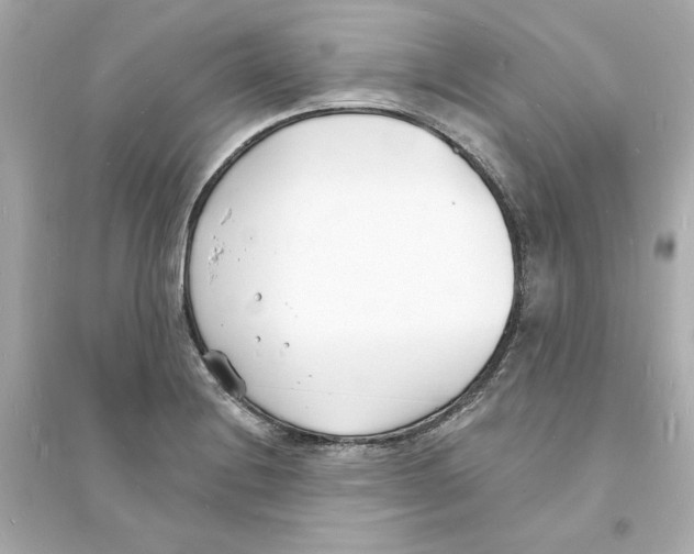 X0000093601228200711121141