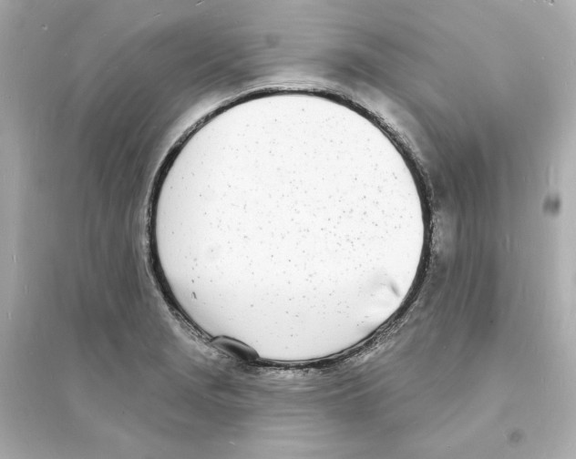 X0000093601229200711121141