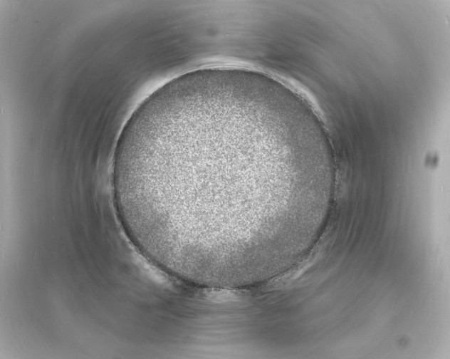 X0000093601231200711121141