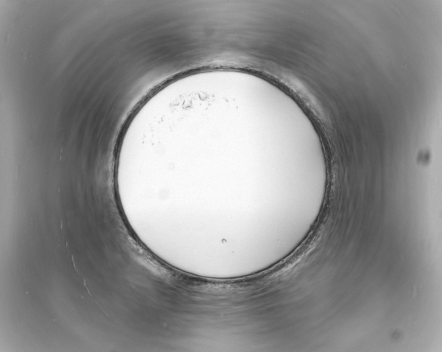 X0000093601232200711121141