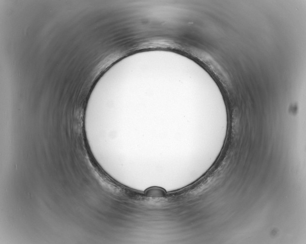 X0000093601233200711121141