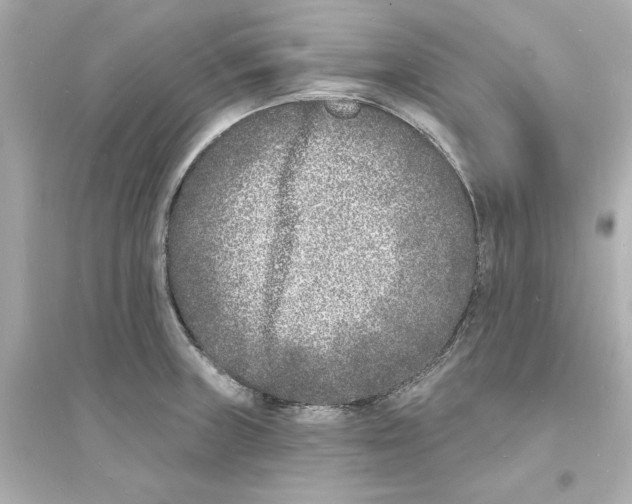 X0000093601235200711121141