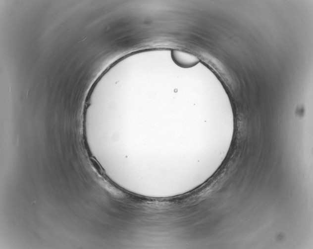 X0000093601236200711121141