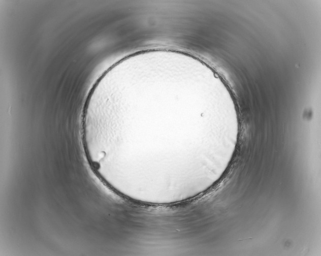 X0000093601239200711121141