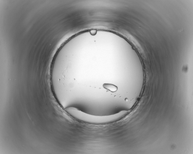 X0000093601240200711121141