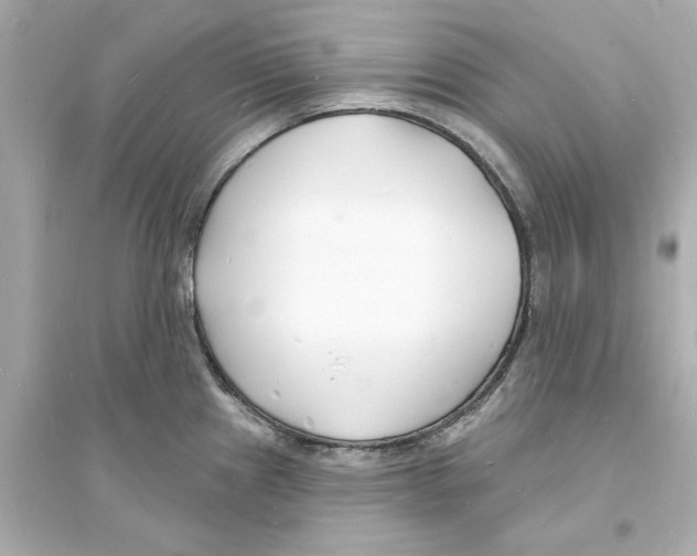 X0000093601241200711121141