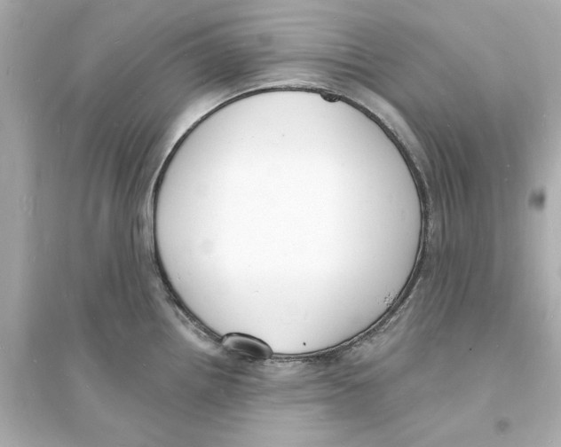 X0000093601242200711121141