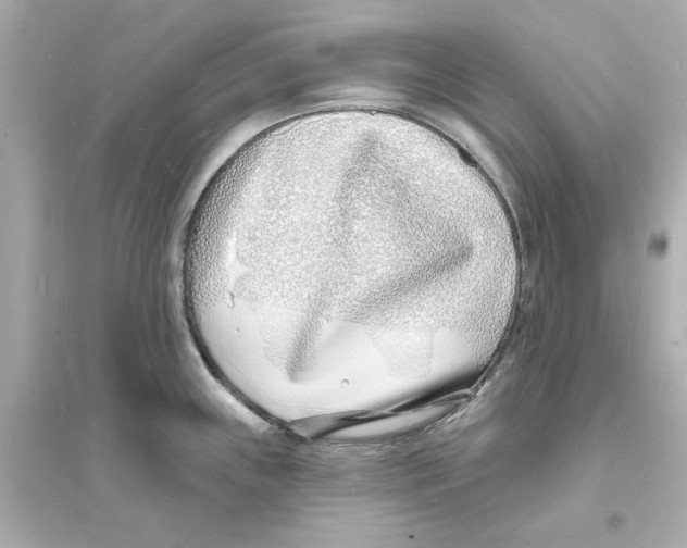 X0000093601243200711121141