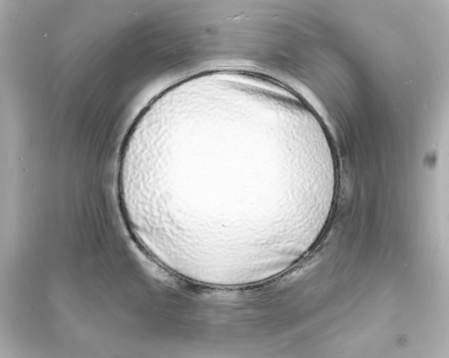 X0000093601245200711121141