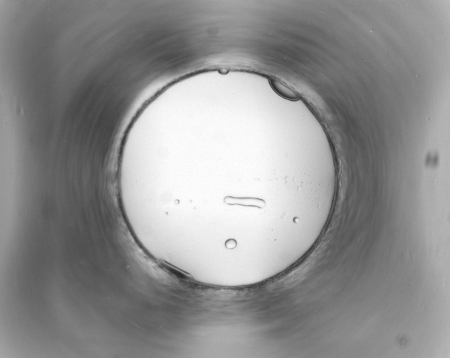 X0000093601248200711121141