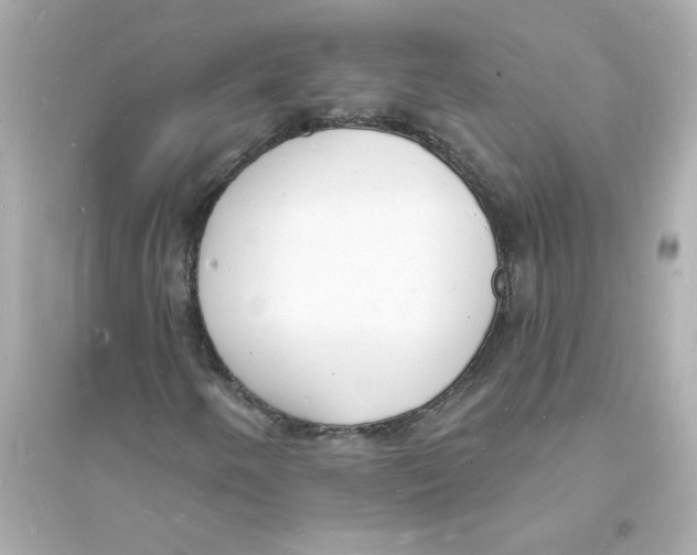 X0000093601250200711121141