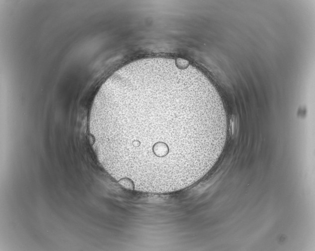 X0000093601251200711121141