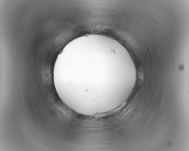 X0000093601252200711121141