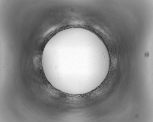 X0000093601254200711121141