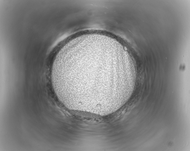 X0000093601255200711121141