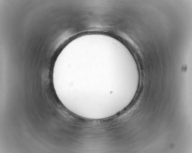 X0000093601259200711121141