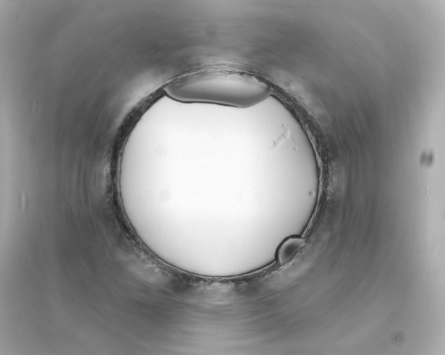 X0000093601261200711121141