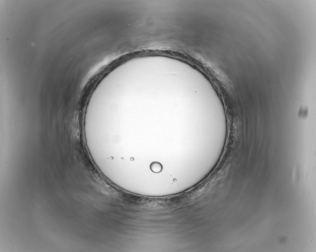 X0000093601262200711121140