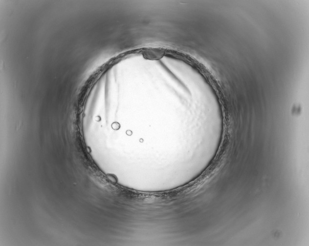 X0000093601263200711121140