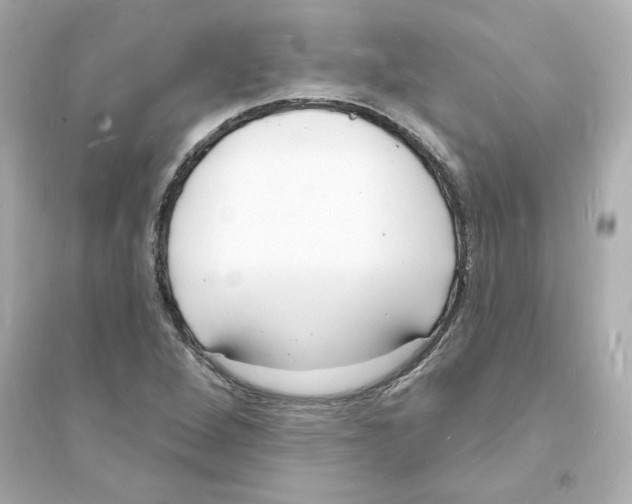 X0000093601264200711121140