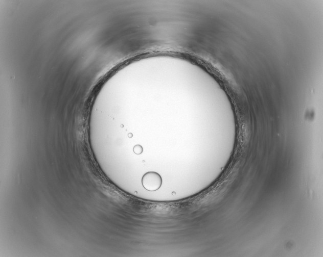 X0000093601266200711121140